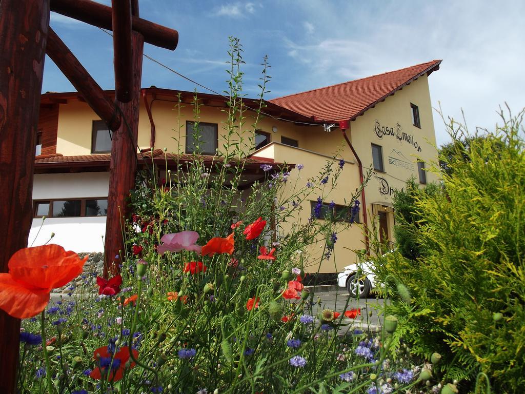Pensiunea Casa Zmeilor Dragus Екстериор снимка